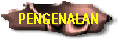 Pengenalan