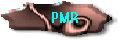 Peperiksaan Percubaan PMR