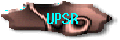 Peperiksaan  Percubaan UPSR
